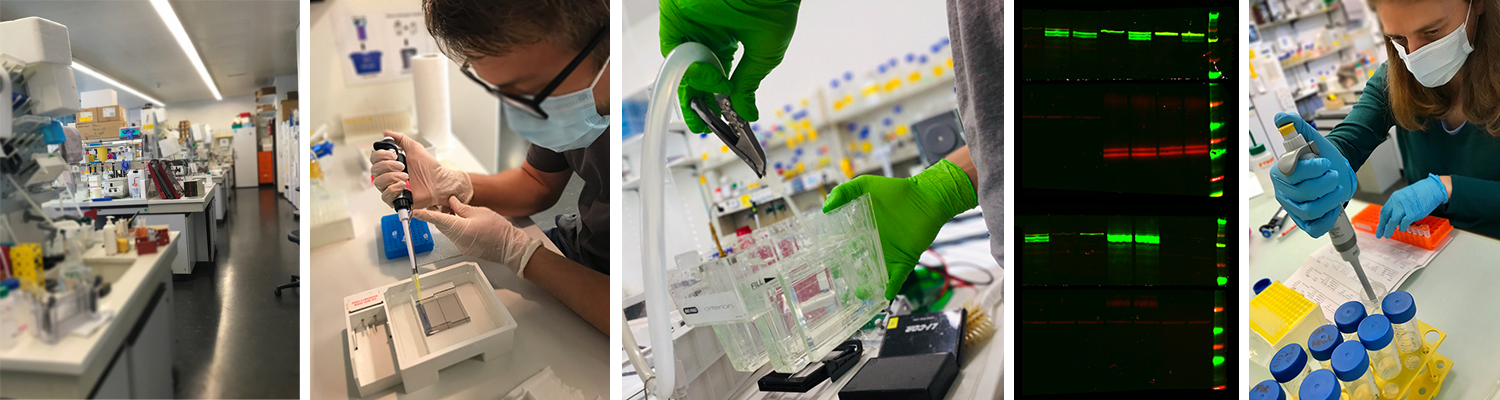 Impressions%20lab%201