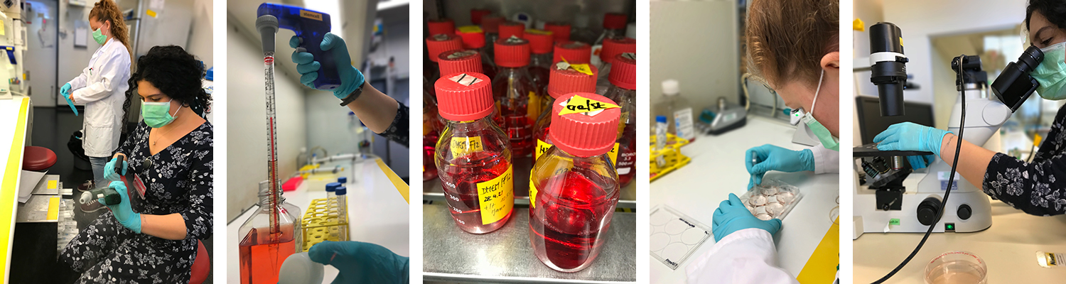 Impressions%20lab%205